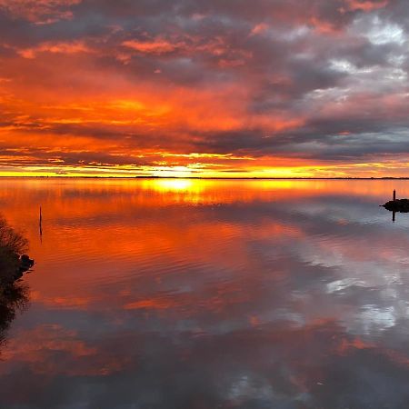 Port Rive Gauche Gabian Lejlighed Marseillan  Eksteriør billede