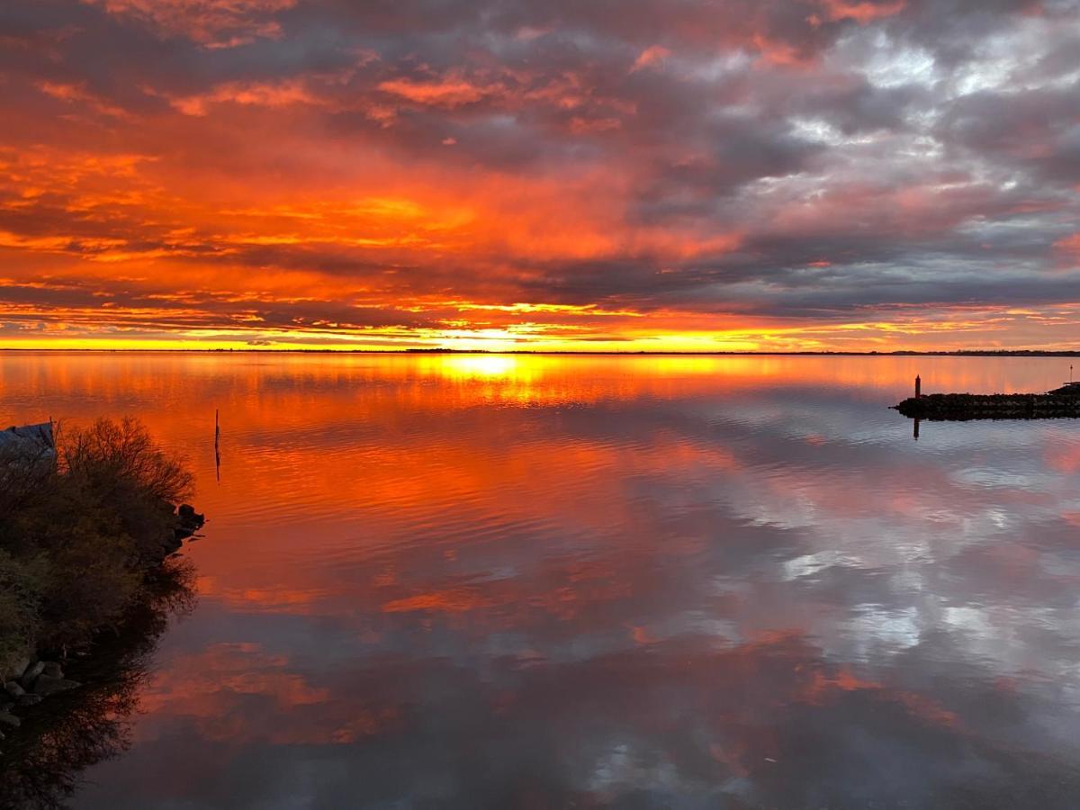 Port Rive Gauche Gabian Lejlighed Marseillan  Eksteriør billede